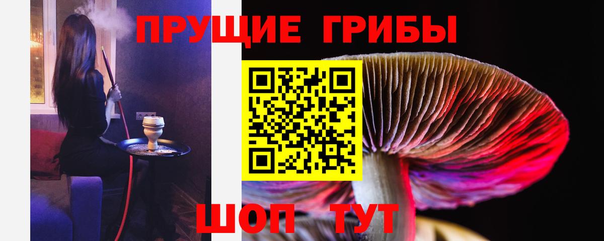 Галлюциногенные грибы MAGIC MUSHROOMS  Вход с VPN  Алатырь  Галлюциногенные грибы Cubensis 